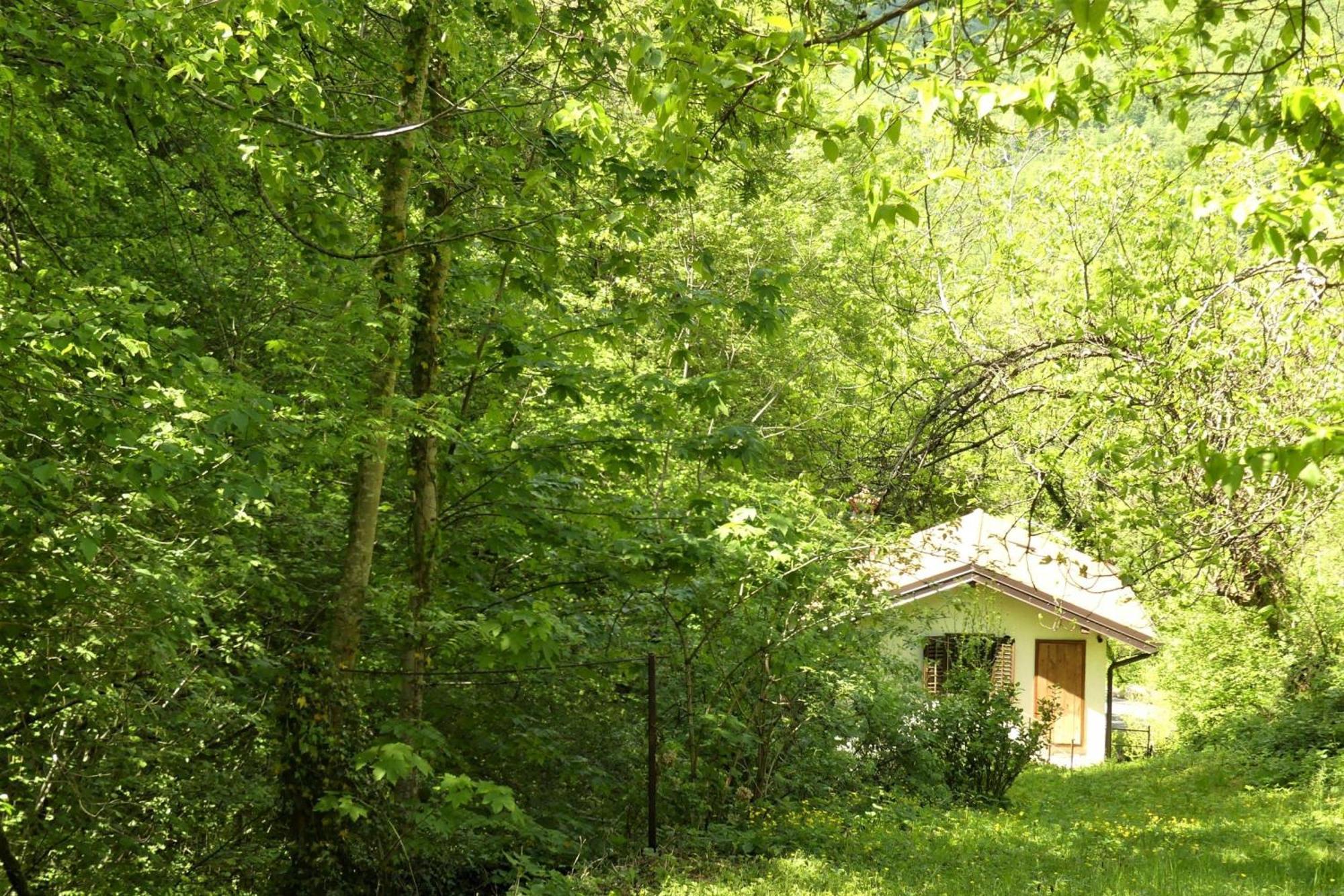 House By The Stream - Happy Rentals Avce Buitenkant foto